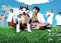 Animal Doctor (觪Ѵѵᾷ)   2  ҡ