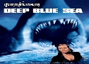 Deep Blue Sea ٧ĵط (1999)   1  ҡ+Ѻ