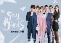 ǹͷ Stray Birds (2021)  7  Ѻ