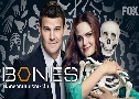 Bones Season 1 (⺹ ԡҡó  1)   3  ҡ