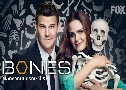 Bones Season 5 (⺹ ԡҡó  5)   4  Ѻ