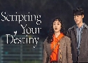 Scripting Your Destiny ෾ŧ¹ѡ (2021)   3  Ѻ