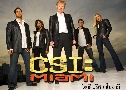 CSI Miami Season6 (CSI 䢤ջȹ  6) 6  (ҡ+Ѻ)