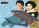 ˴ Greed (1989) (TVB)   4  ҡ