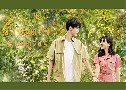 ѡ㨹Ĵ͹ Summer in Love (2023)   4 蹨 Ѻ
