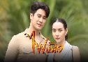 俹Ӥҧ Game of Love ( 2568) ( ø - ء Թѡ)   7 蹨